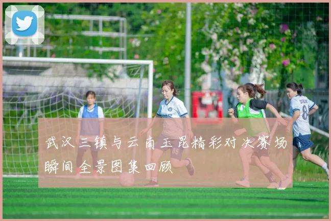 武汉三镇与云南玉昆精彩对决赛场瞬间全景图集回顾