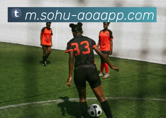 AOA体育APP 封面图